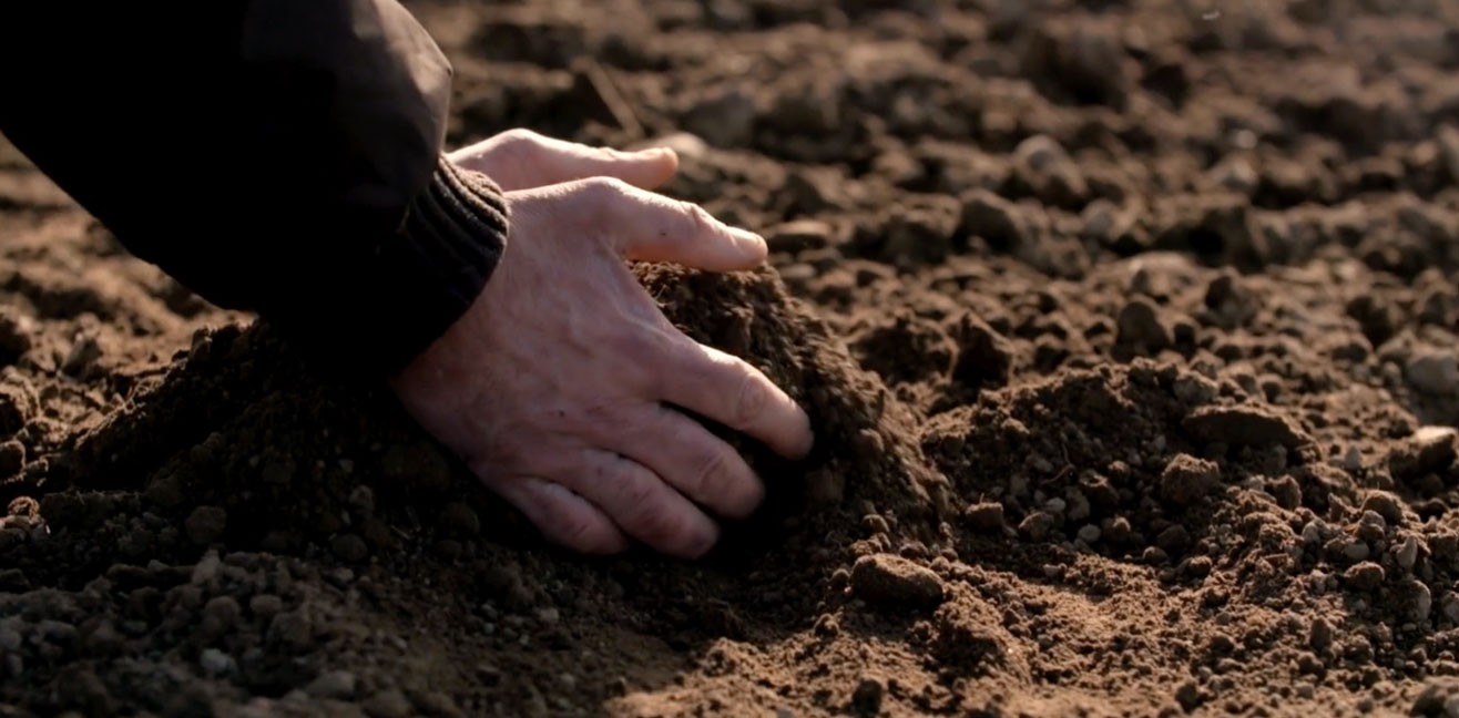 24 Qi Nodes from the Asian Almanac. Insect Stir.